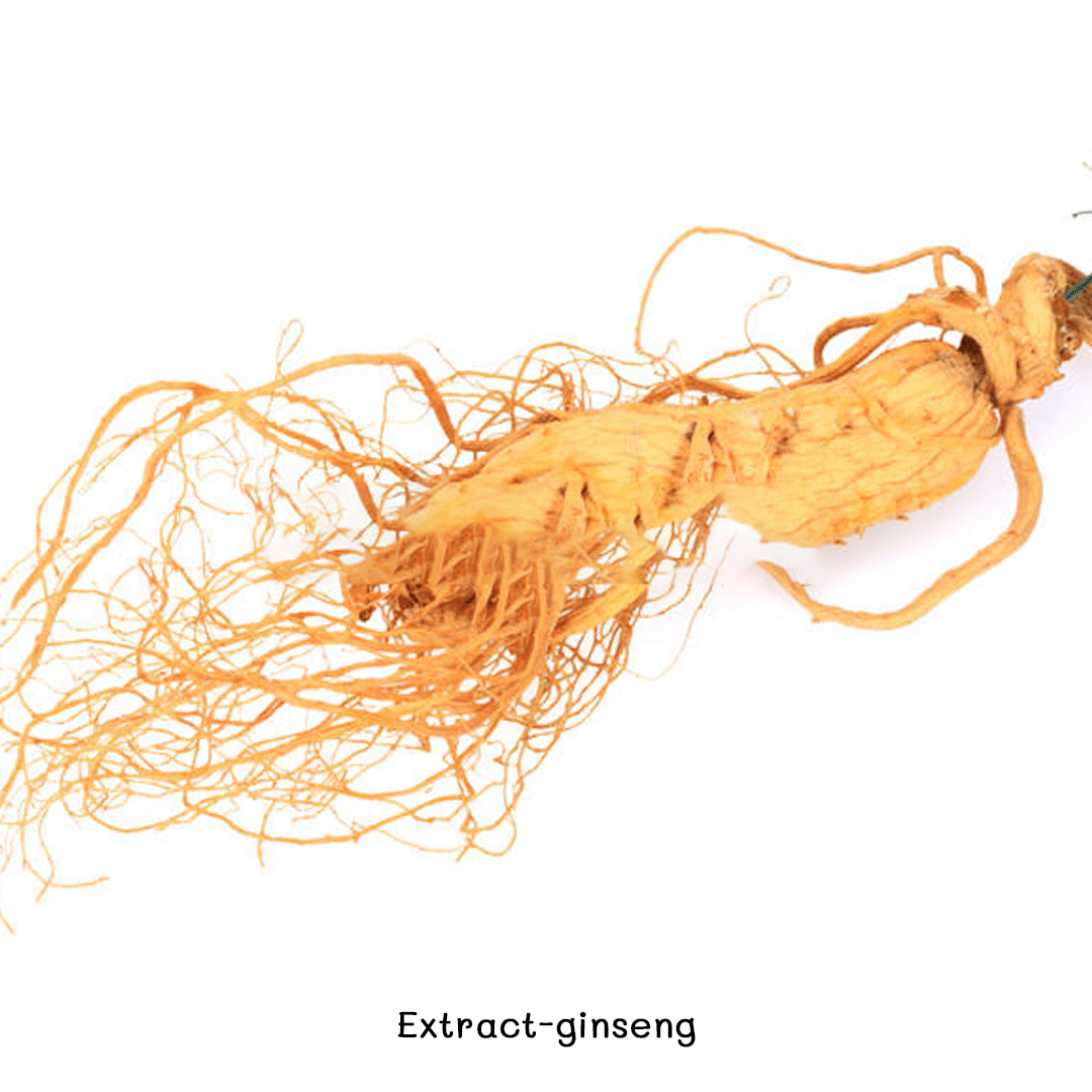 ขายสารสกัดโสมของแท้ 100 % เข้มข้น ปัญญาเคมีภัณฑ์ ❤️9382 Extract-ginseng3❤️ สารสกัดโสม
