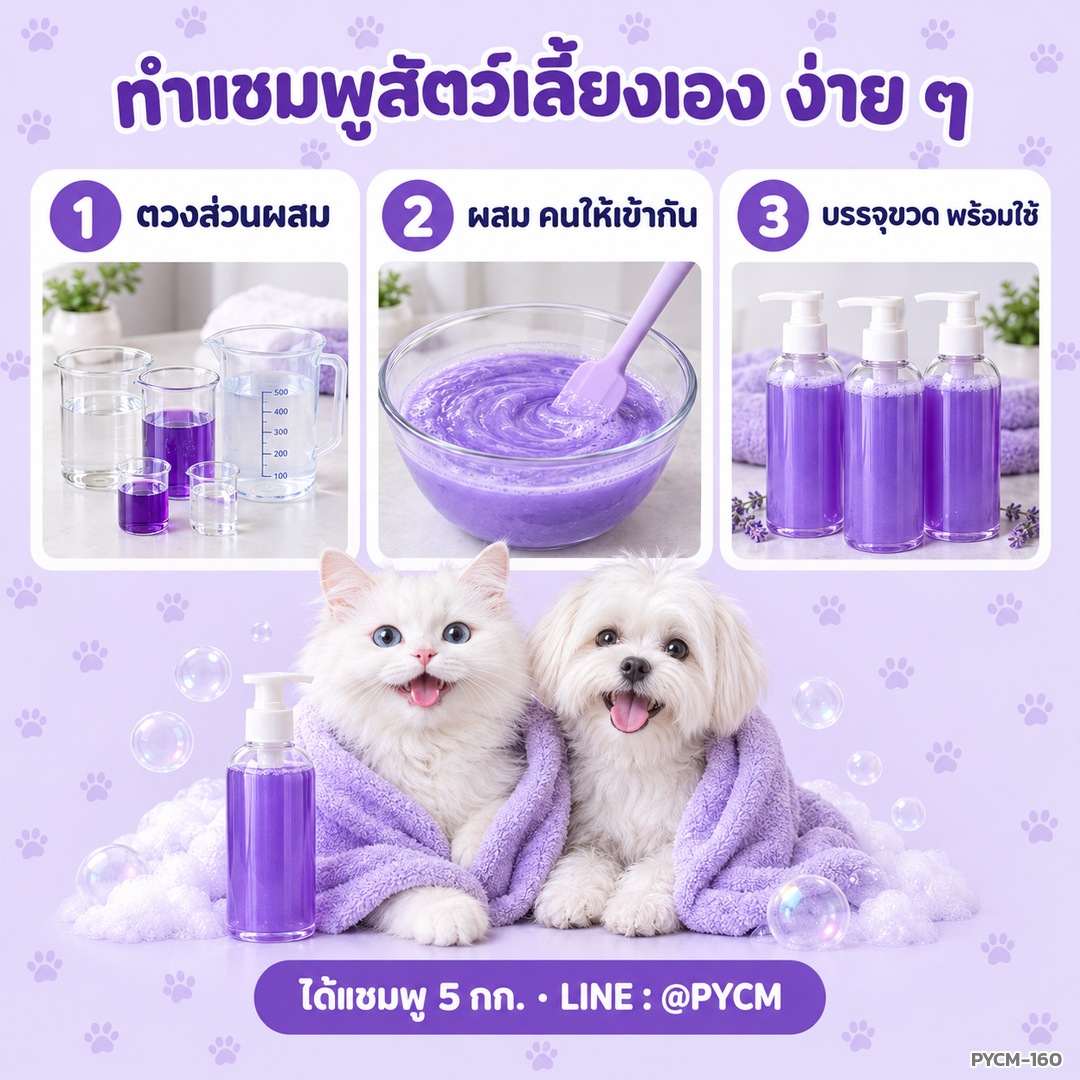 ทำแชมพูสัตว์เลี้ยงเองง่าย ๆ 3 ขั้นตอน ได้แชมพู 5 กก.