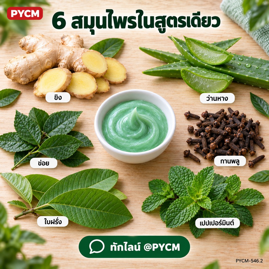 6 สมุนไพรในสูตรเดียว ขิง ว่านหาง กานพลู ข่อย ใบฝรั่ง เปปเปอร์มินต์