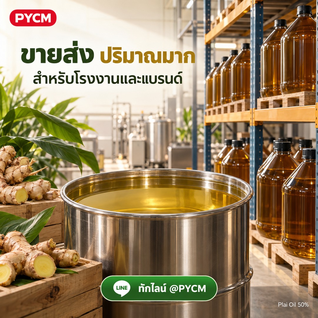 ขายส่งปริมาณมาก สำหรับโรงงานและแบรนด์