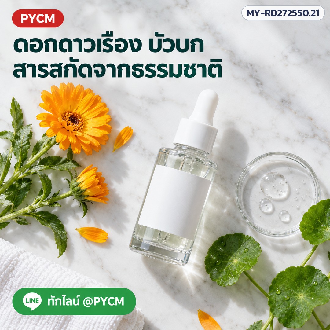 เซรั่มสำหรับผิวมัน เนื้อบางเบา (รหัส 19348) – ดอกดาวเรือง บัวบก สารสกัดจากธรรมชาติ