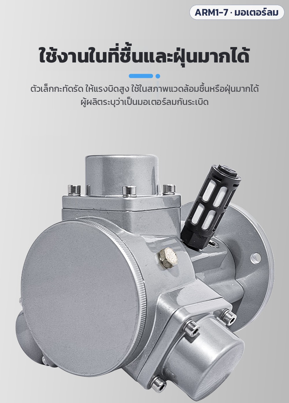 ตัวเล็กกะทัดรัด ให้แรงบิดสูง ใช้งานในสภาพแวดล้อมชื้นหรือฝุ่นมากได้ ผู้ผลิตระบุว่าเป็นมอเตอร์ลมกันระเบิด