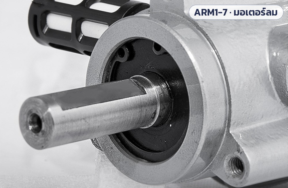 มอเตอร์ลมแบบลูกสูบ ARM1 ARM3 ARM5 ARM6 ARM7 (Piston Air Motor) – ภาพถ่ายสินค้า: ใกล้ ๆ เพลาและหน้าแปลนด้านหน้า พร้อมตัวเก็บเสียง