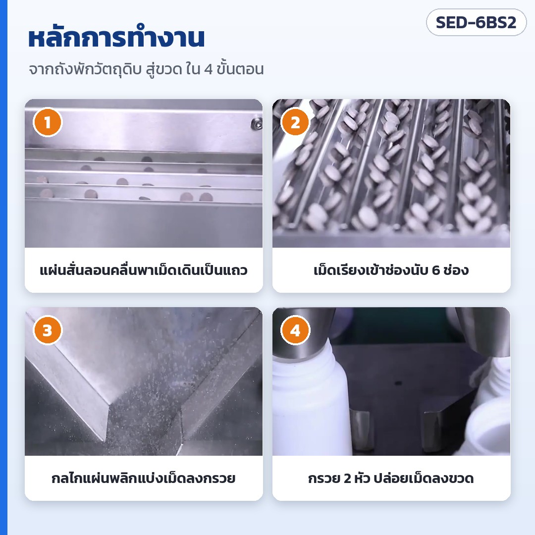 เครื่องนับเม็ดยา/แคปซูลกึ่งอัตโนมัติ 6 ช่อง 2 หัวลงขวด SED-6BS2 – หลักการทำงาน 4 ขั้น: แผ่นสั่นลอนคลื่นพาเม็ดเดินเป็นแถว → เข้าช่องนับ 6 ช่อง → กลไกแผ่นพลิกแบ่งเม็ดลงกรวย → กรวย 2 หัวปล่อยเม็ดลงขวด (ภาพจากคลิปเครื่องจริง)