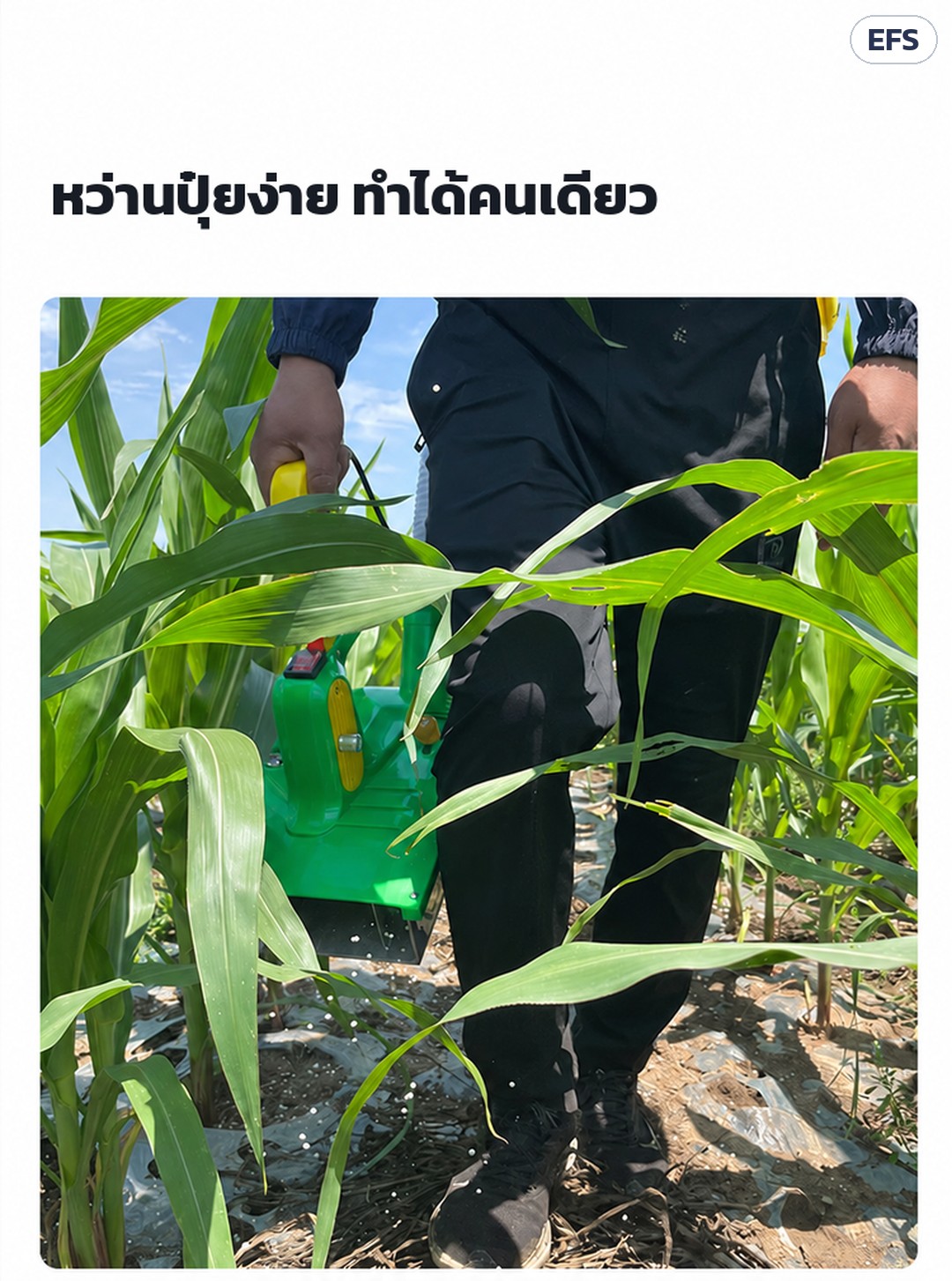 เครื่องหว่านปุ๋ยไฟฟ้า สะพายหลัง EFS ถัง 25/30 ลิตร – ภาพใช้งานจริง: สะพายถังที่หลัง ถือหัวหว่านระดับเอว หว่านปุ๋ยในไร่ข้าวโพด